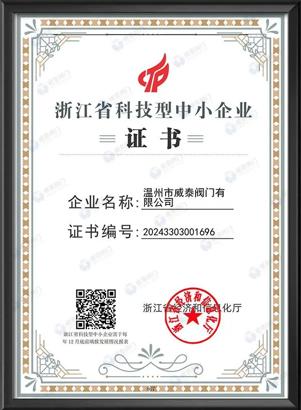 浙江省科技型中小企业证书